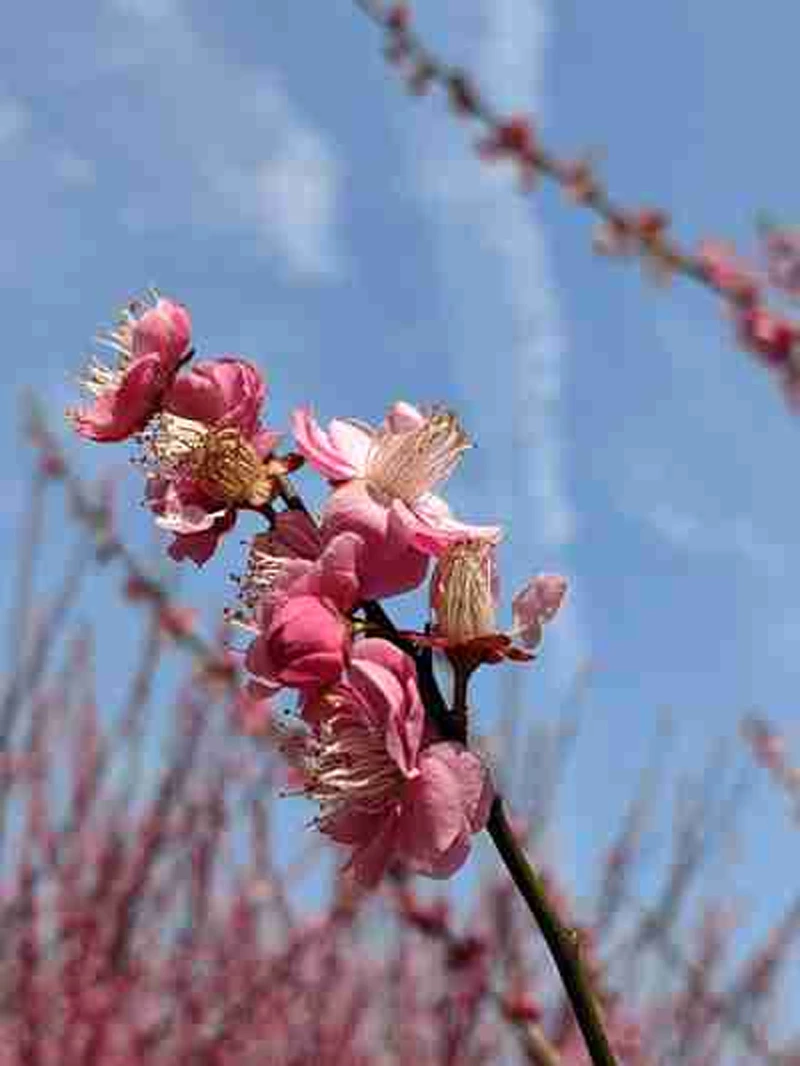 ZHEJIANG KINKO เสริมความแข็งแกร่งให้กับทีมในเทศกาลหลงไถโถว พร้อมให้คำมั่นสนับสนุนลูกค้าทั่วโลกให้ดียิ่งขึ้น